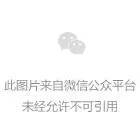 职业篮球运动员的冰敷恢复方案